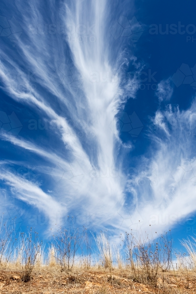 feathery white clouds in blue sky - Australian Stock Image