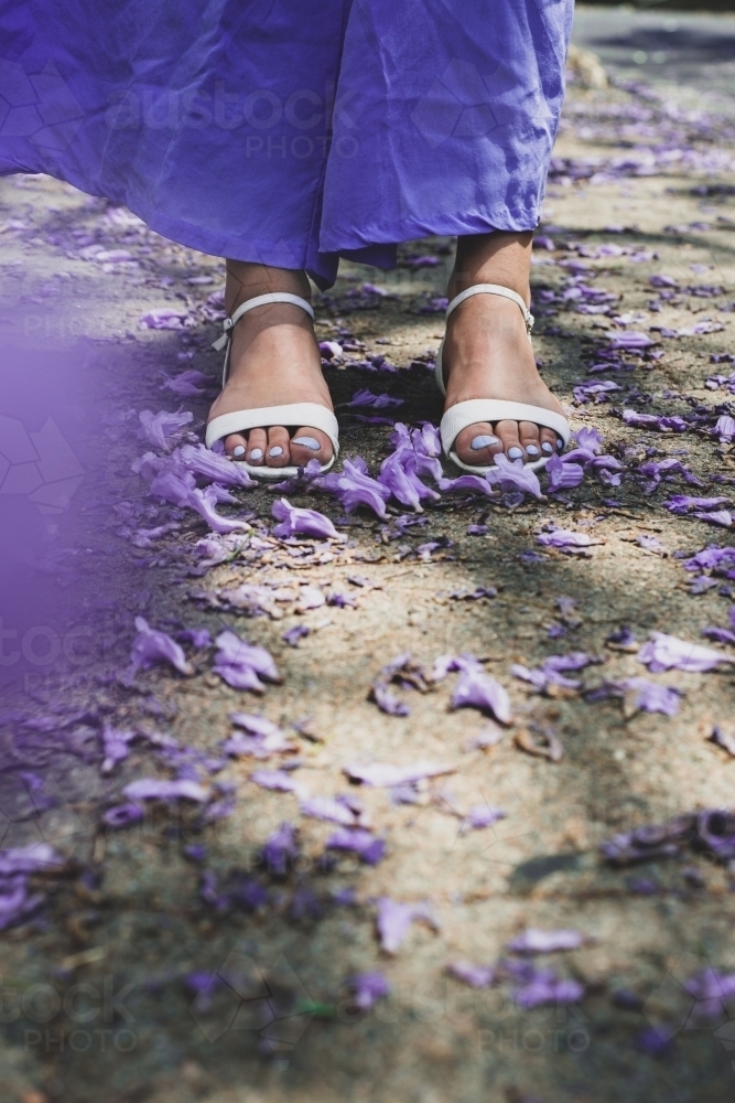 feet and jacarandas - Australian Stock Image