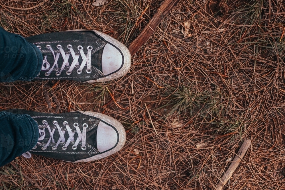 Feet in Old Sneakers standing on Dry Pine Needles. - Australian Stock Image