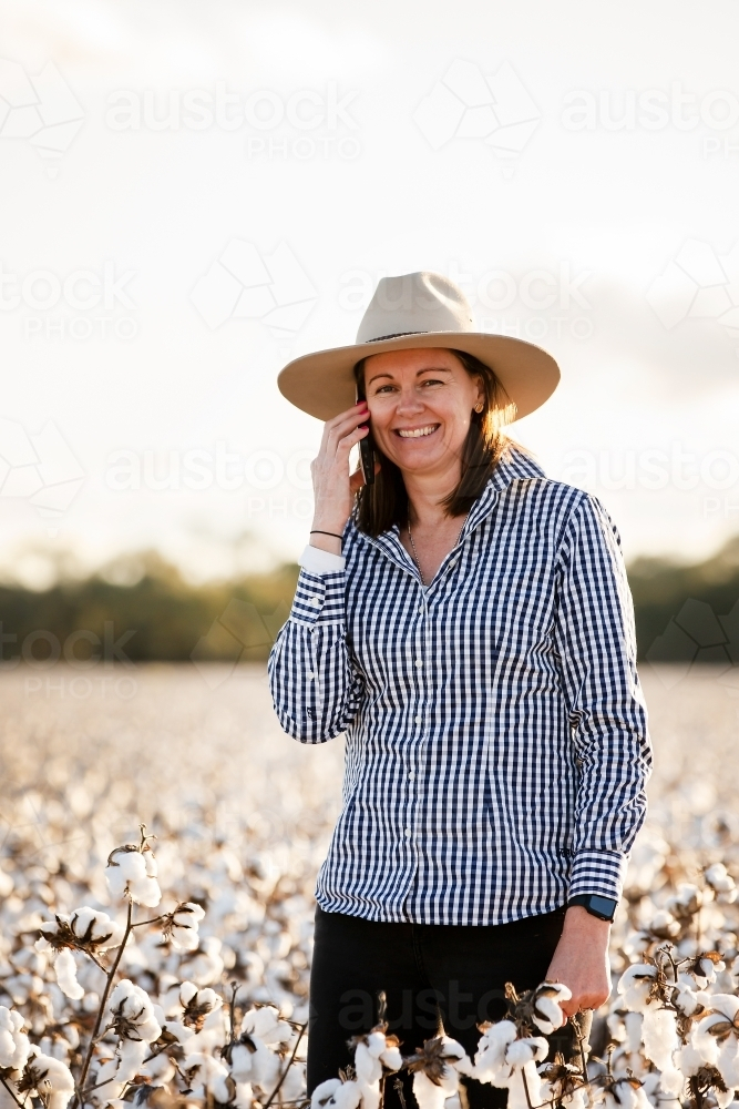 Female farmer in a cotton crop using an iphone - Australian Stock Image