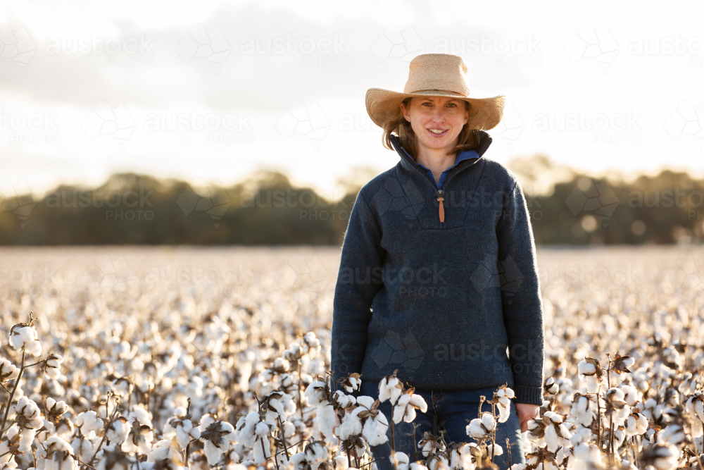 Female farmer in cotton crop at harvest - Australian Stock Image