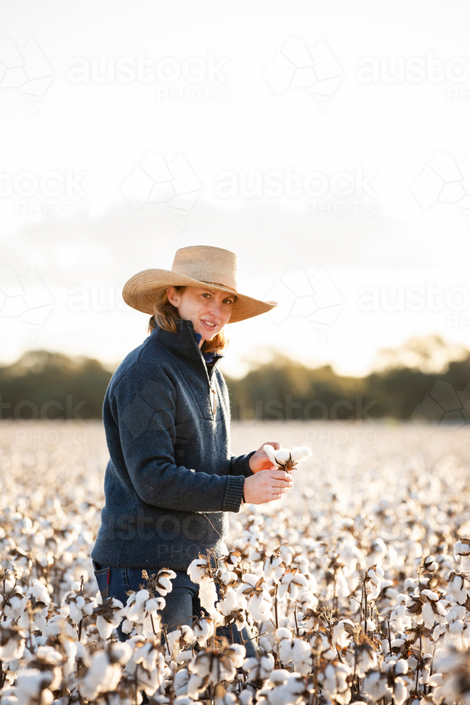 Female farmer in crop of cotton at harvest - Australian Stock Image