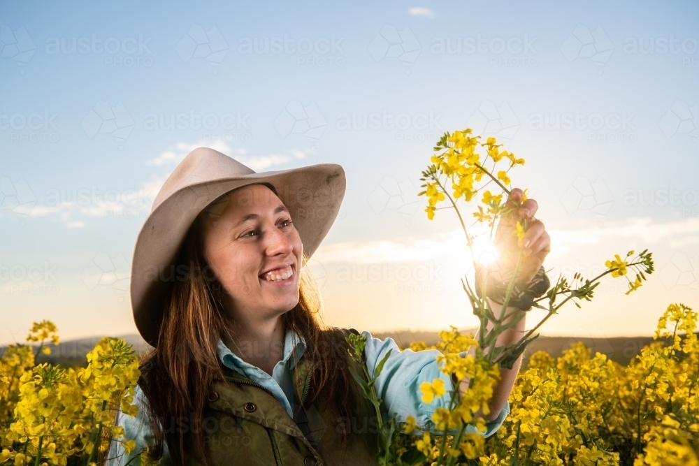 Female farmer inspects canola crop in late-afternoon light - Australian Stock Image
