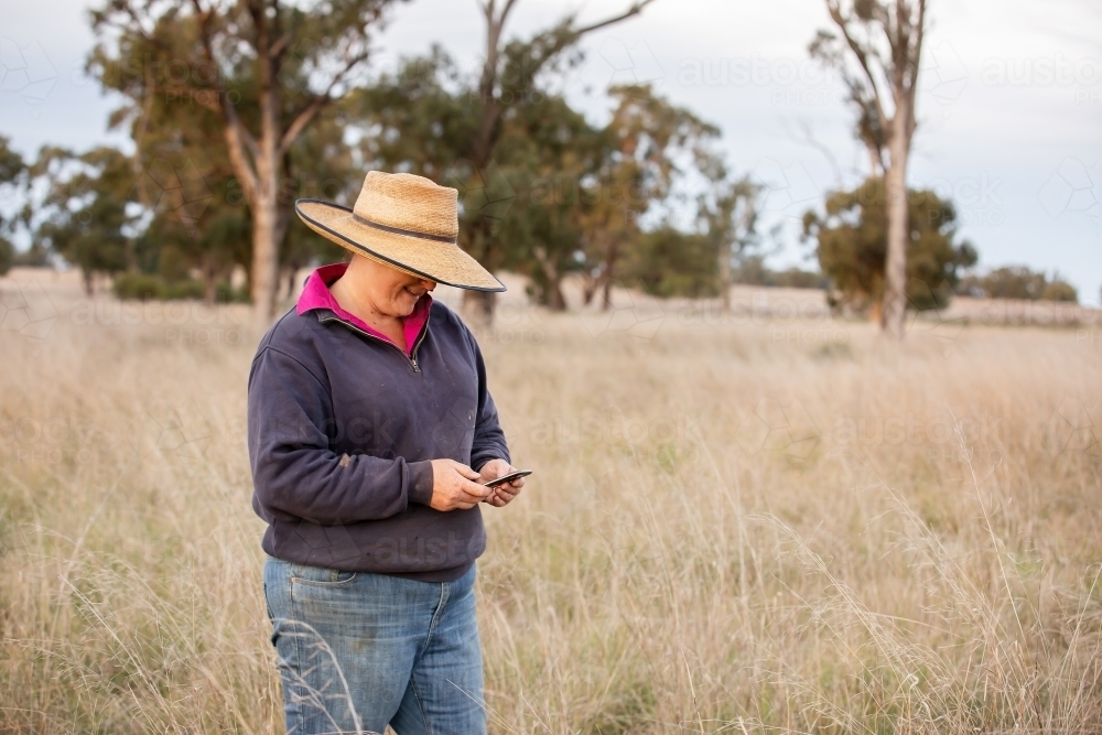 Female farmer using a mobile phone to text in the paddock - Australian Stock Image