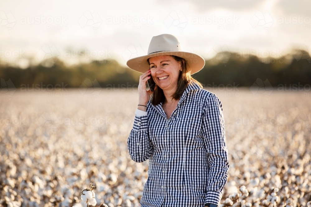 Female farmer using an iphone in a cotton crop - Australian Stock Image