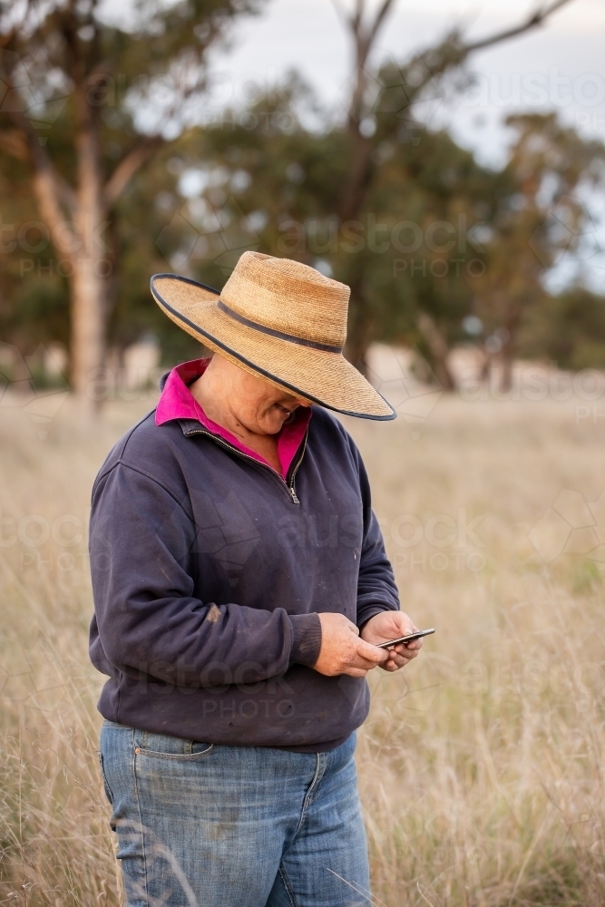 Female farmer using an iphone to text in the paddock - Australian Stock Image