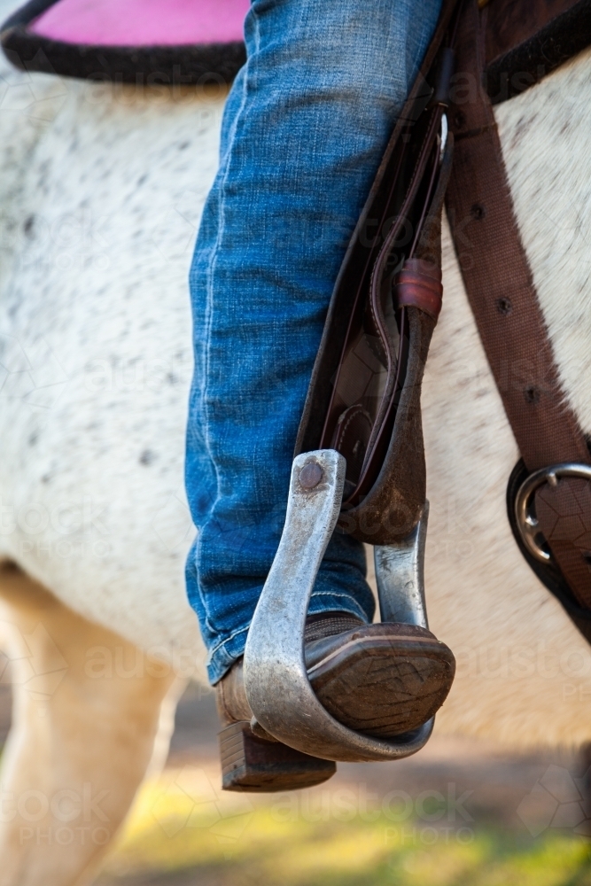 Image of female horse rider with her foot in the stirrup of her grey ...