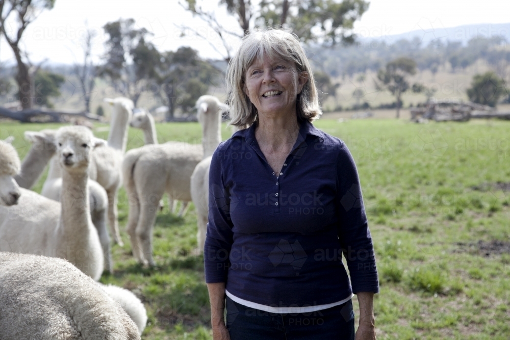 Female on the farm with alpacas in a paddock - Australian Stock Image