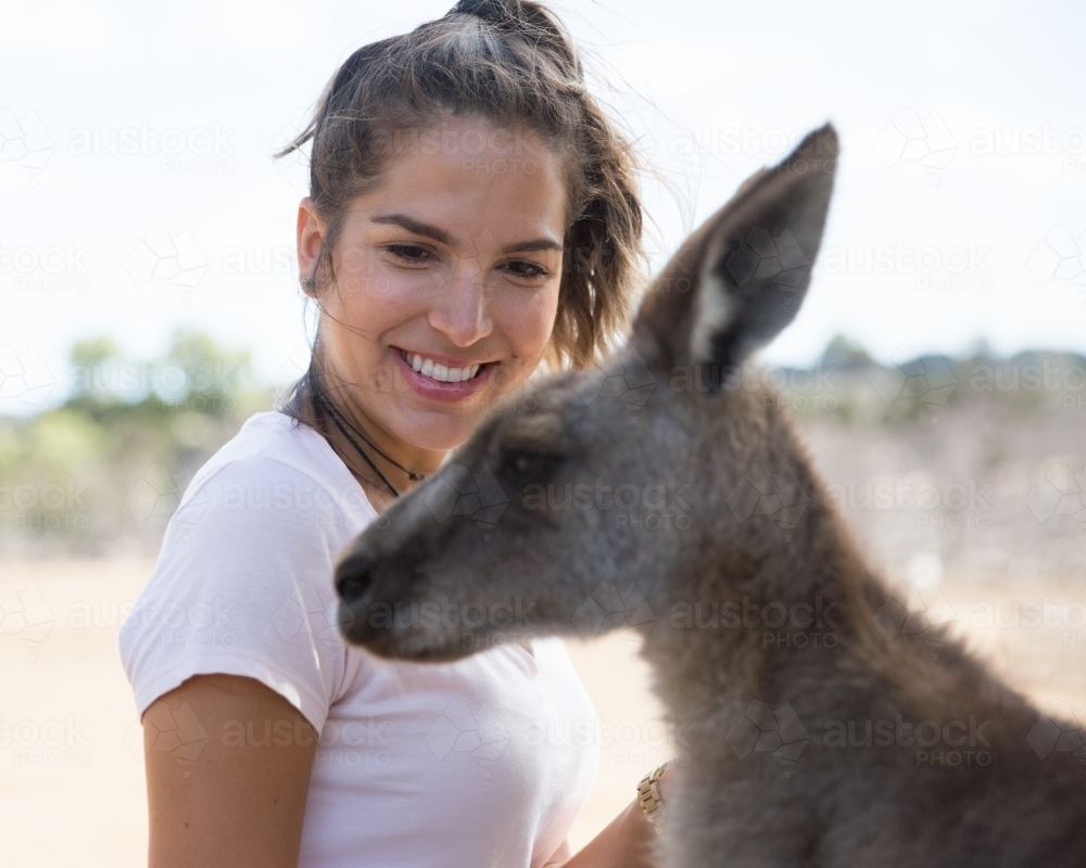 Female Tourist Feeding a Kangaroo - Australian Stock Image