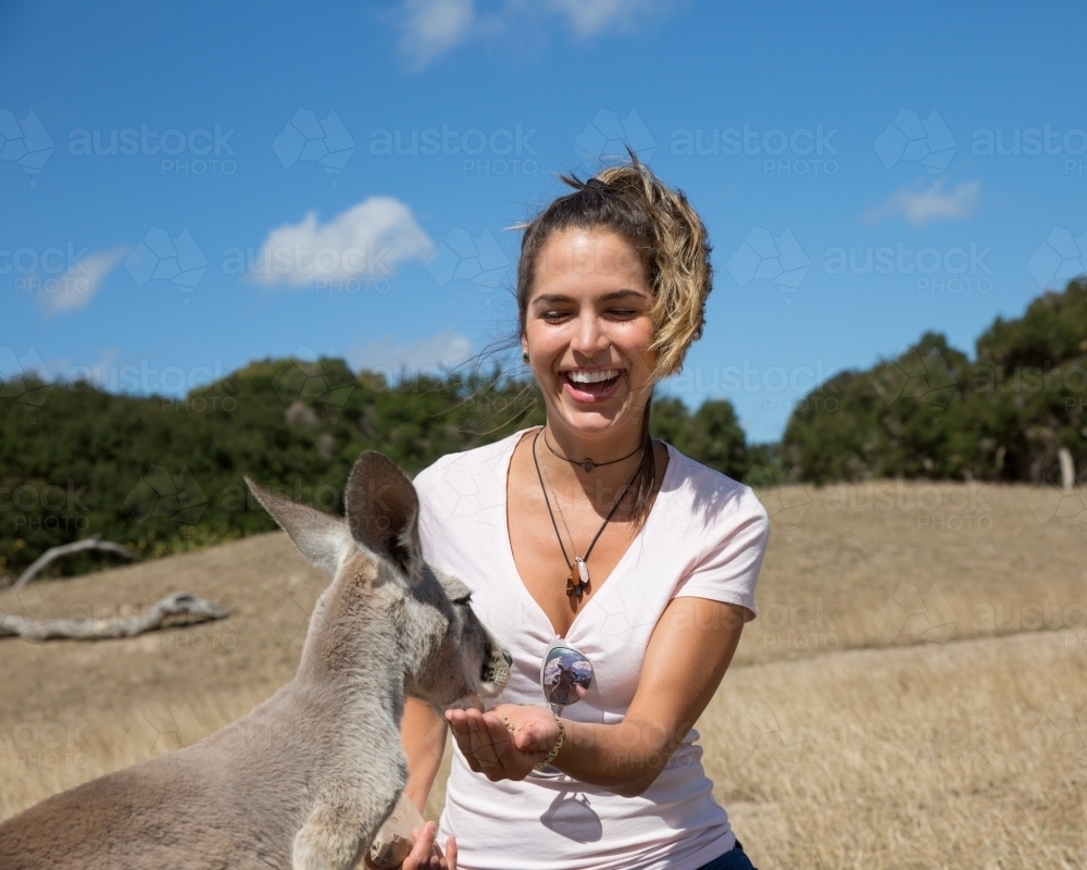 Female Tourist Feeding a Kangaroo - Australian Stock Image