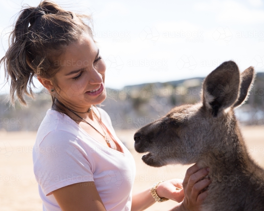 Female Tourist Feeding a Kangaroo : Austockphoto Female Tourist Feeding a Kangaroo - Australian Stock Image