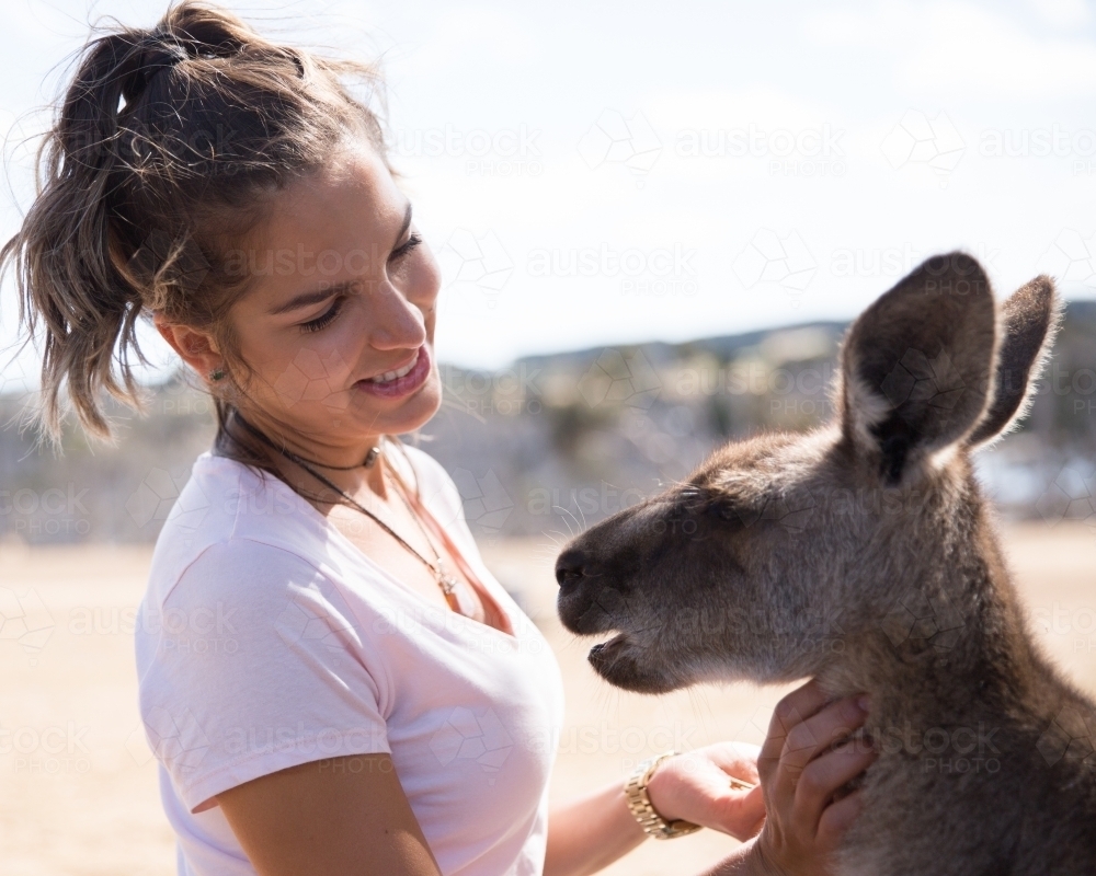 Female Tourist Feeding a Kangaroo - Australian Stock Image