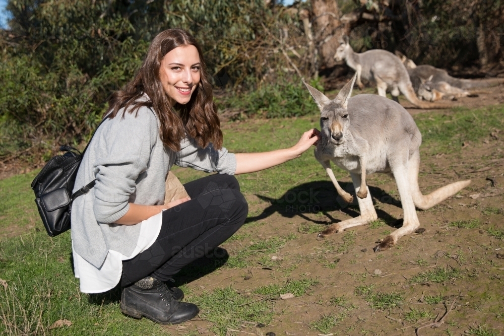 Female Tourist Patting Kangaroo - Australian Stock Image