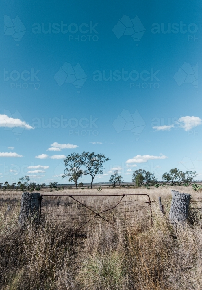 Fence against dry grass and sky - Australian Stock Image