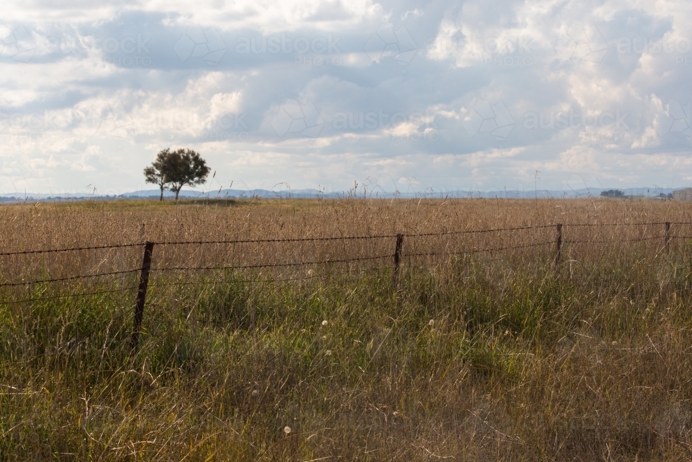 Fence in long grass on a roadside with farm and clouds in the distance - Australian Stock Image