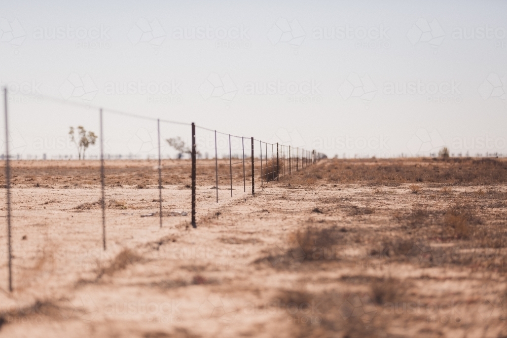 Fence line in a drought paddock - Australian Stock Image