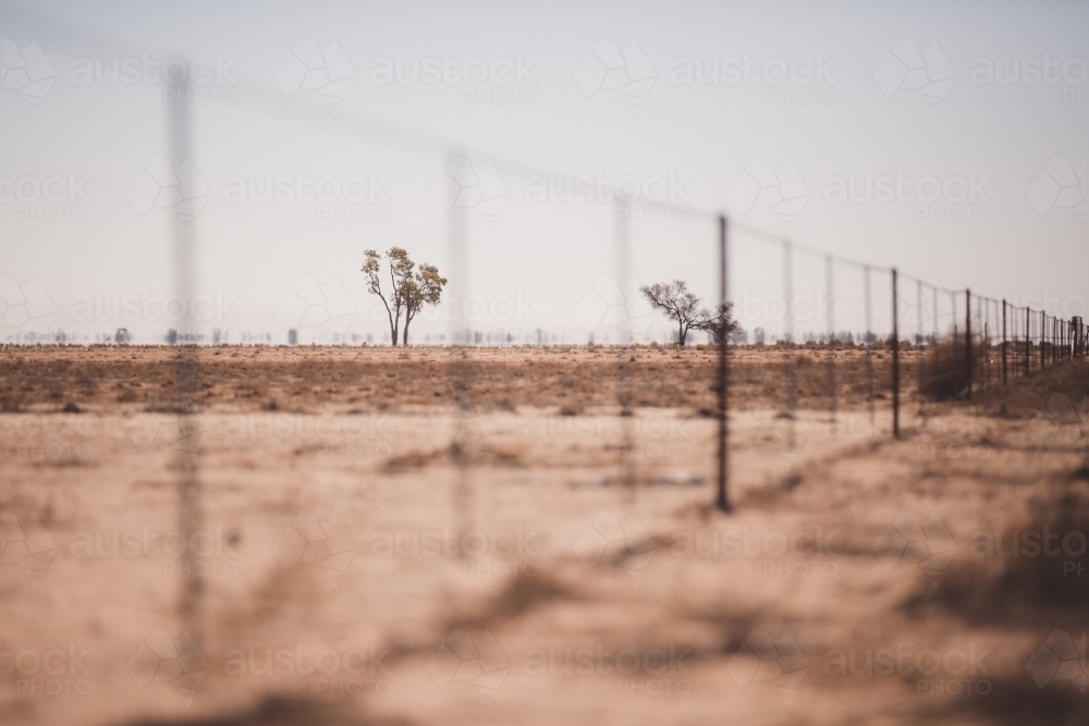 Fence line in a drought paddock - Australian Stock Image