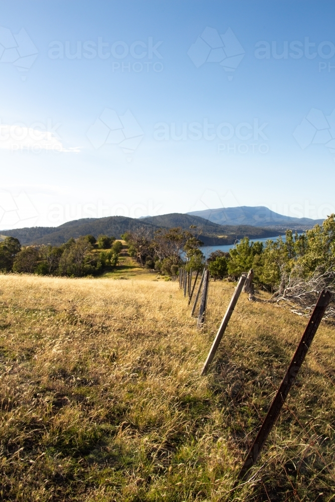 Fence line in Tasmania - Australian Stock Image