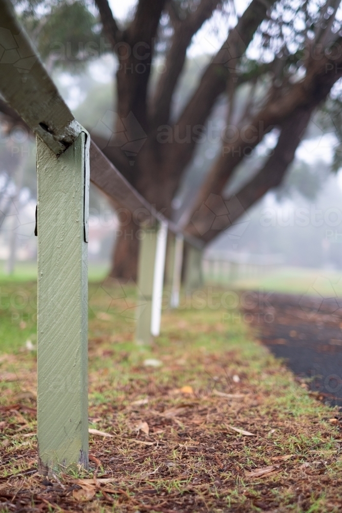 fence post and a tree covered in dense fog - Australian Stock Image