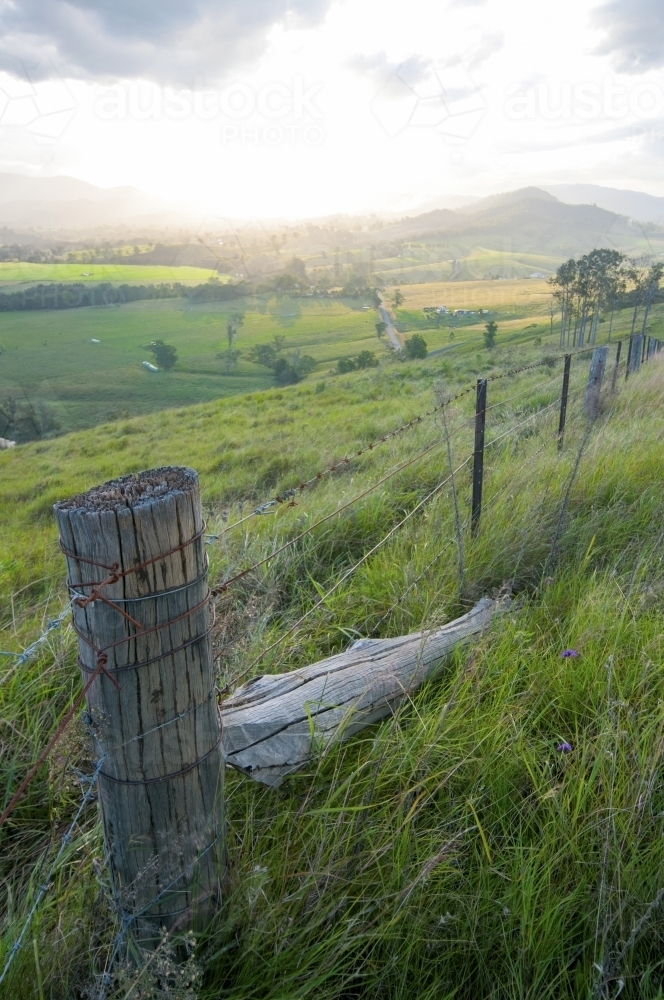 Fence post in field on a farm - Australian Stock Image