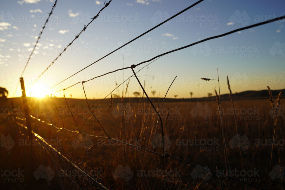 Fence with sunshine at sunset - Australian Stock Image