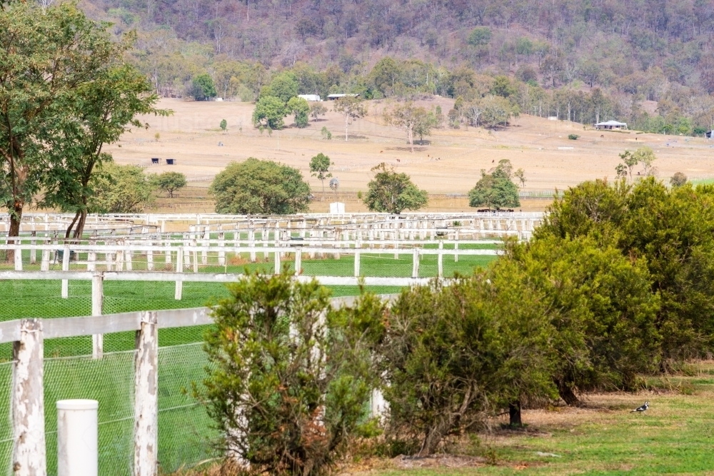 Fences on a Horse Stud - Australian Stock Image