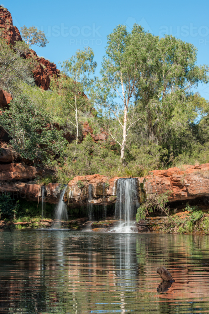 Fern Pool Karijini National Park - Australian Stock Image