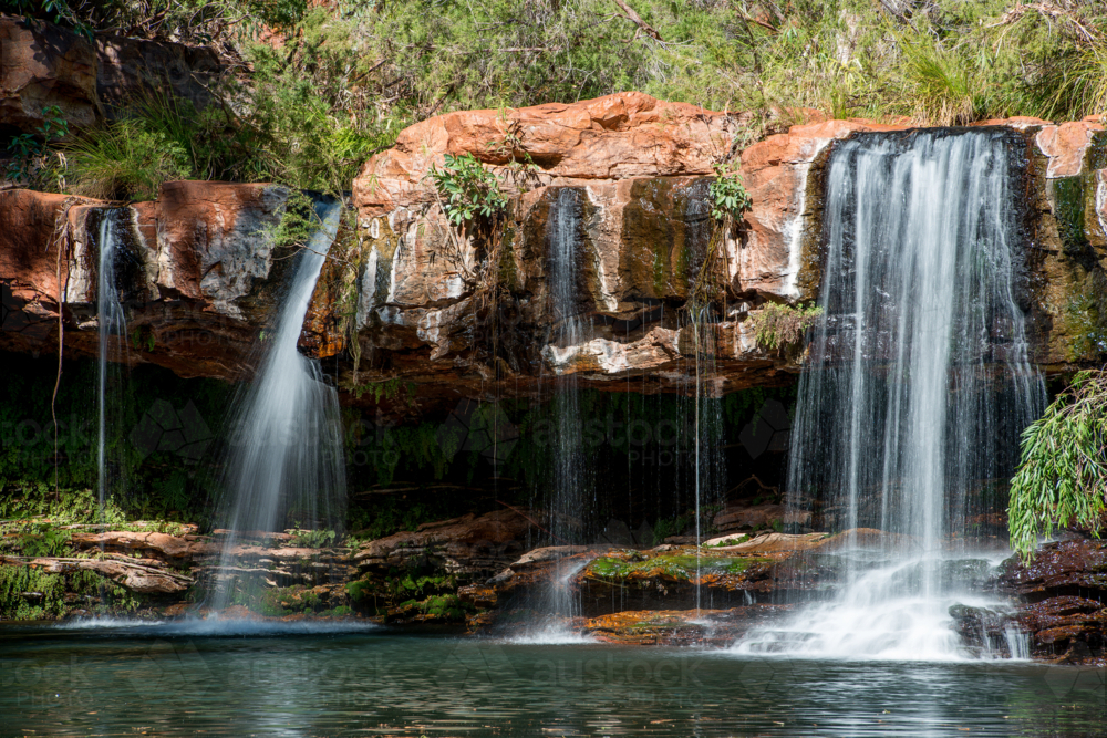 Fern Pool Karijini National Park - Australian Stock Image