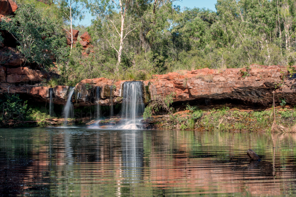 Fern Pool Karijini National Park - Australian Stock Image