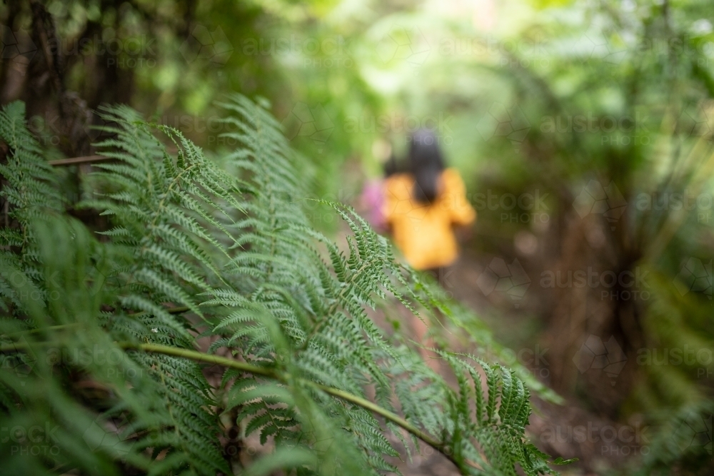 Ferns and children walking - Australian Stock Image