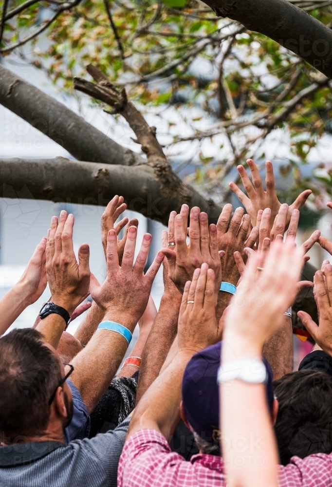 Festival goers raising their arms up - Australian Stock Image