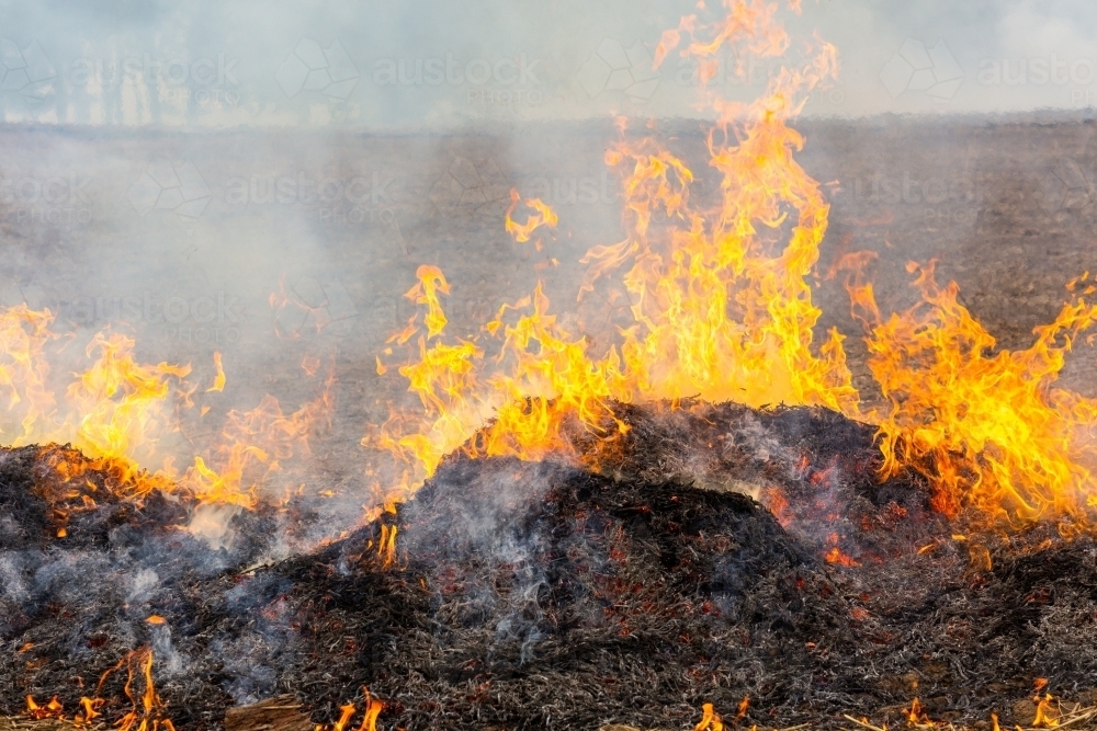 Image of Fire burning a heap of straw on a farm Austockphoto