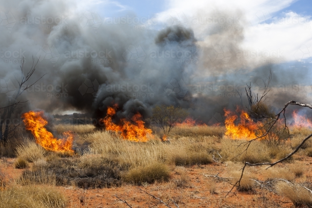 Fire stick burning in arid Central Australia - Australian Stock Image