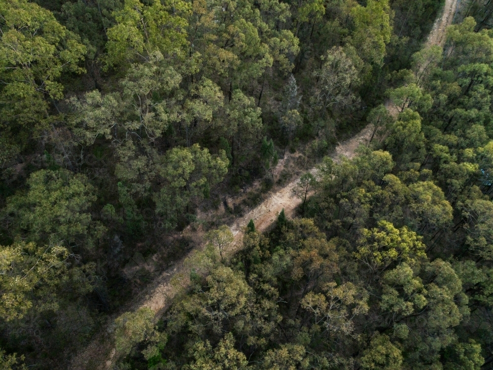Fire trail at the edge of a national park with gum trees and bushland either side - Australian Stock Image