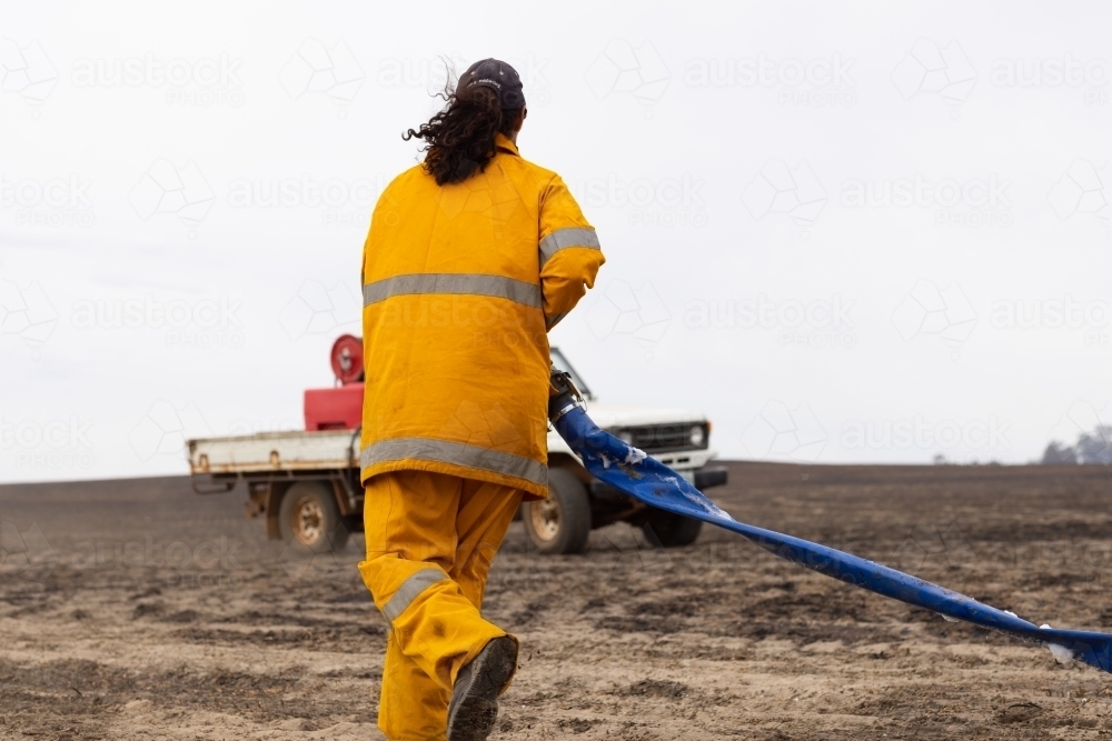 Firefighter pulling hose towards vehicle along burnt paddock - Australian Stock Image
