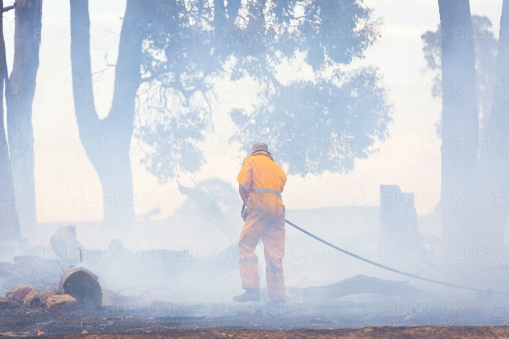 Firefighter with hose spraying down burnt trees after bushfire - Australian Stock Image