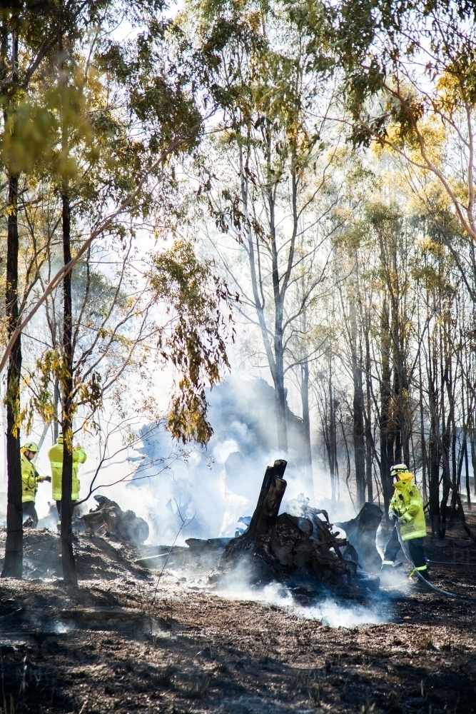 Firefighters fighting a fire with hose among trees and smoke - Australian Stock Image