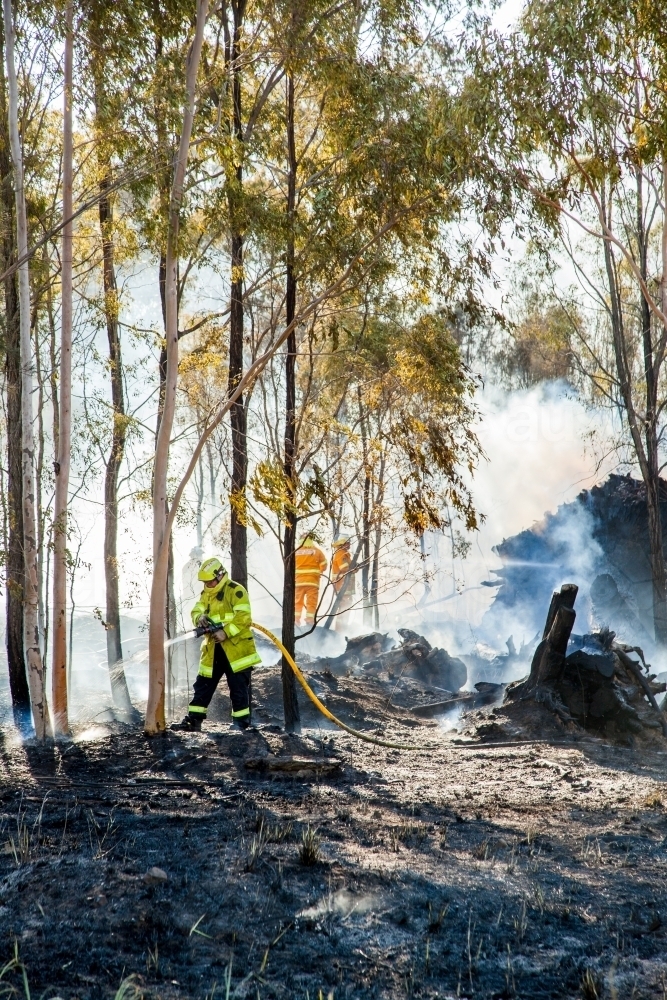 Firefighters fighting fire with hose among trees and smoke - Australian Stock Image