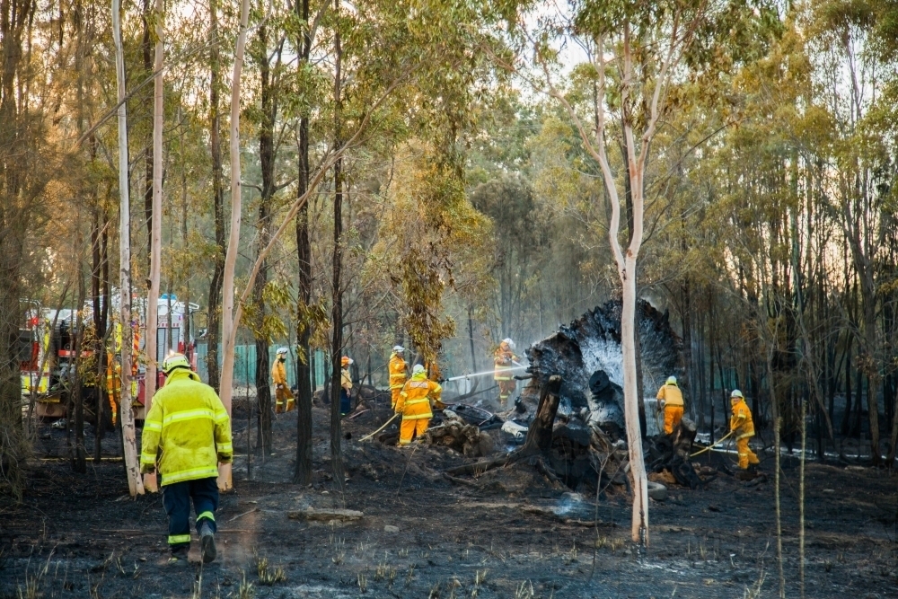 Firefighters putting out a fire in bushland - Australian Stock Image