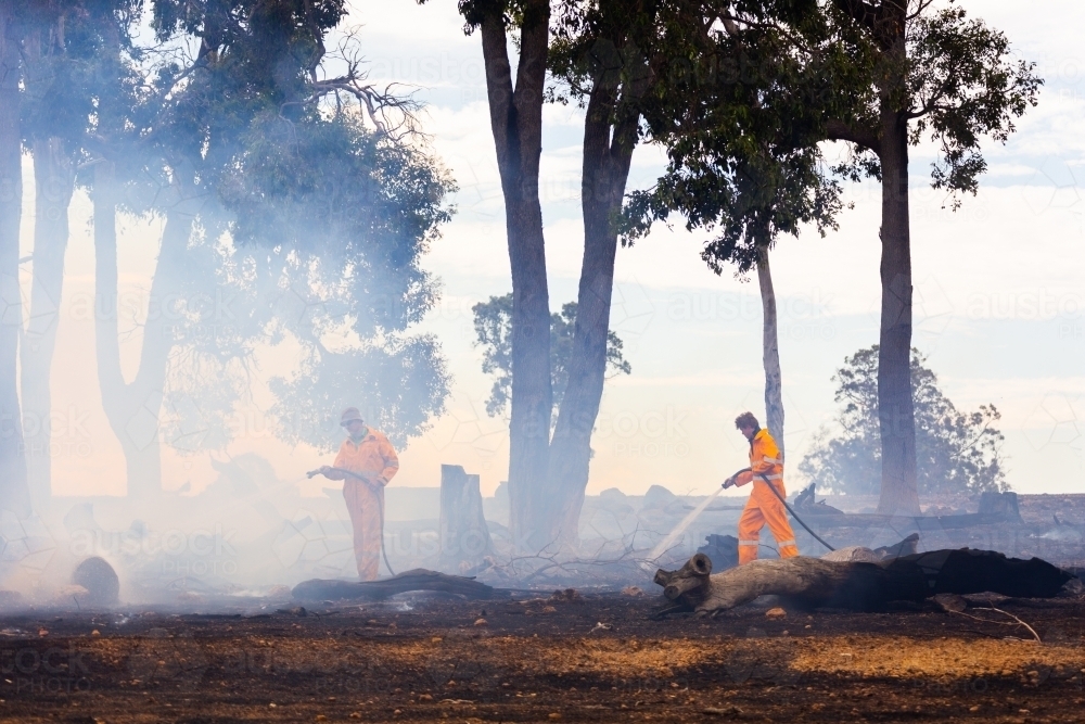 firefighters using hoses to spray water on burnt logs after a fire in smoke - Australian Stock Image