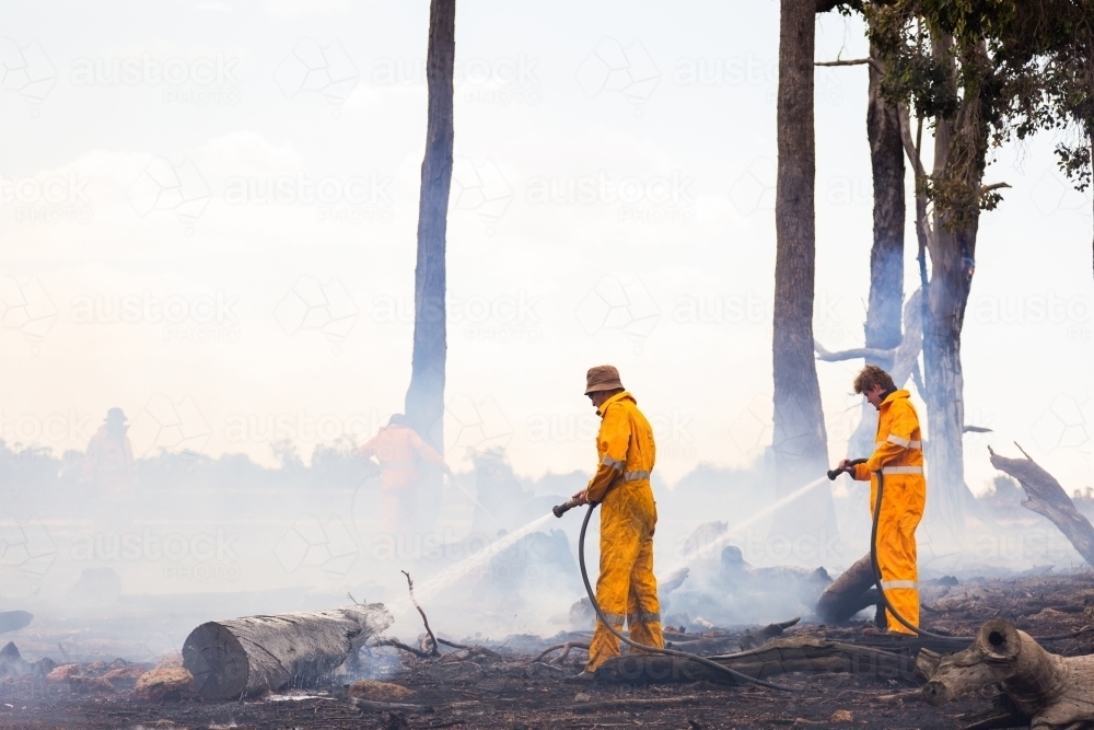 firefighters using hoses to spray water onto burnt logs after a fire - Australian Stock Image