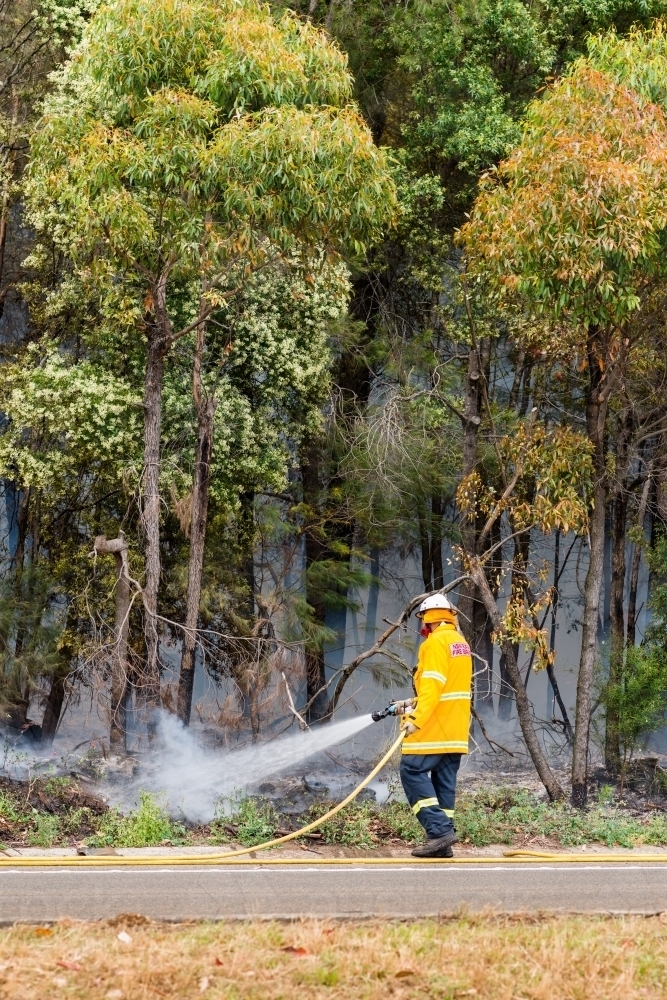 fireman putting out bushfire - Australian Stock Image