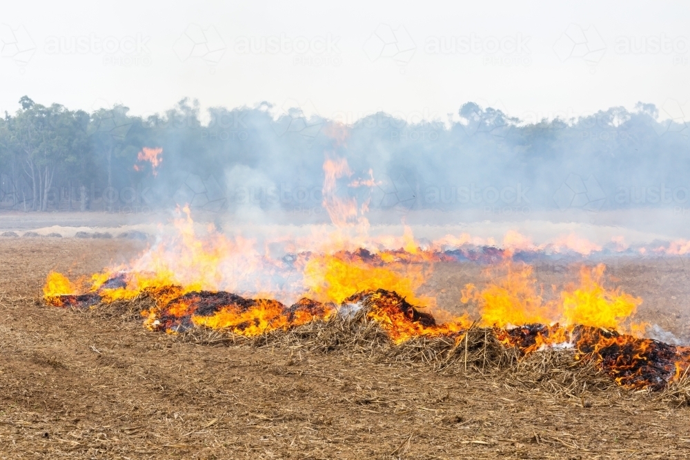Fires burning in stubble on a country property - Australian Stock Image