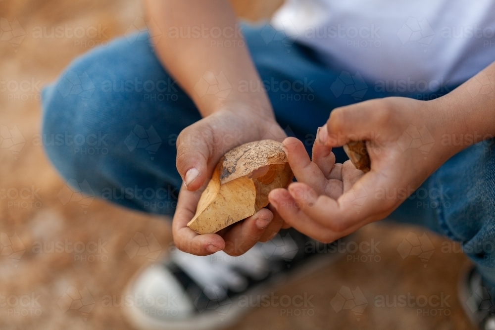 First Nation Australian child holding aboriginal artefact stones in hands - Australian Stock Image