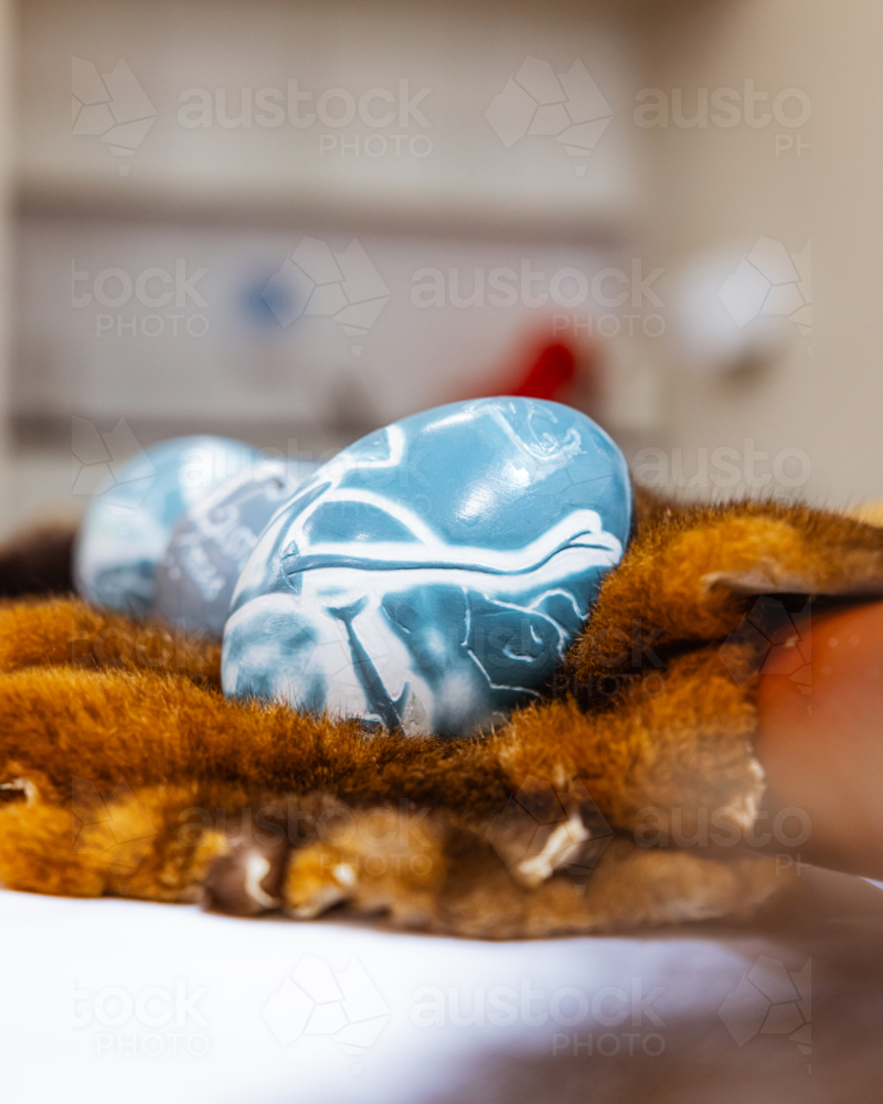 First Nation Designed Emu Eggs - Australian Stock Image