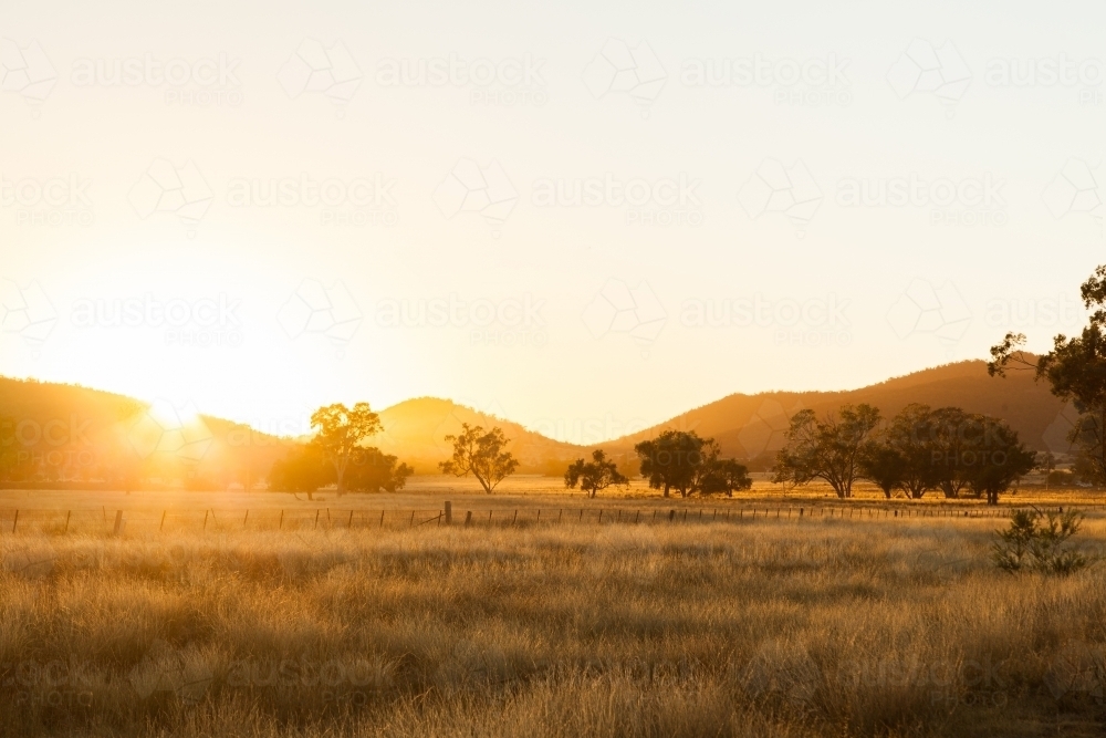 First sun ray of golden light australian paddock scenery - Australian Stock Image