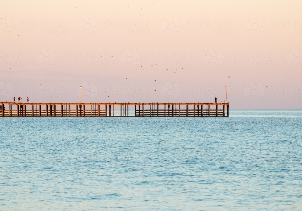 Fisherman on jetty in Wallaroo at dawn with birds flying off - Australian Stock Image