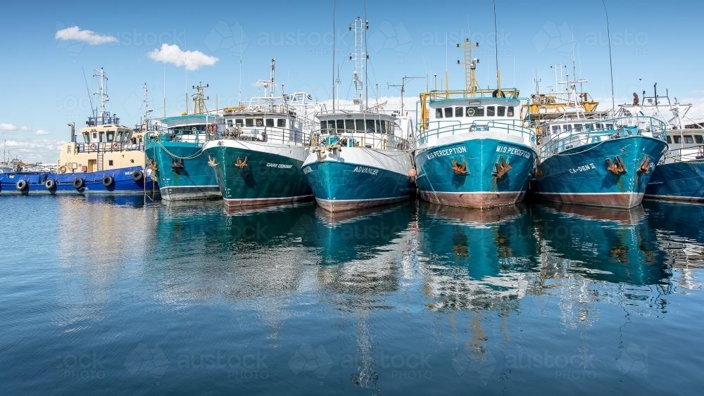 Fishing Boats Lined up in Fremantle Harbour - Australian Stock Image