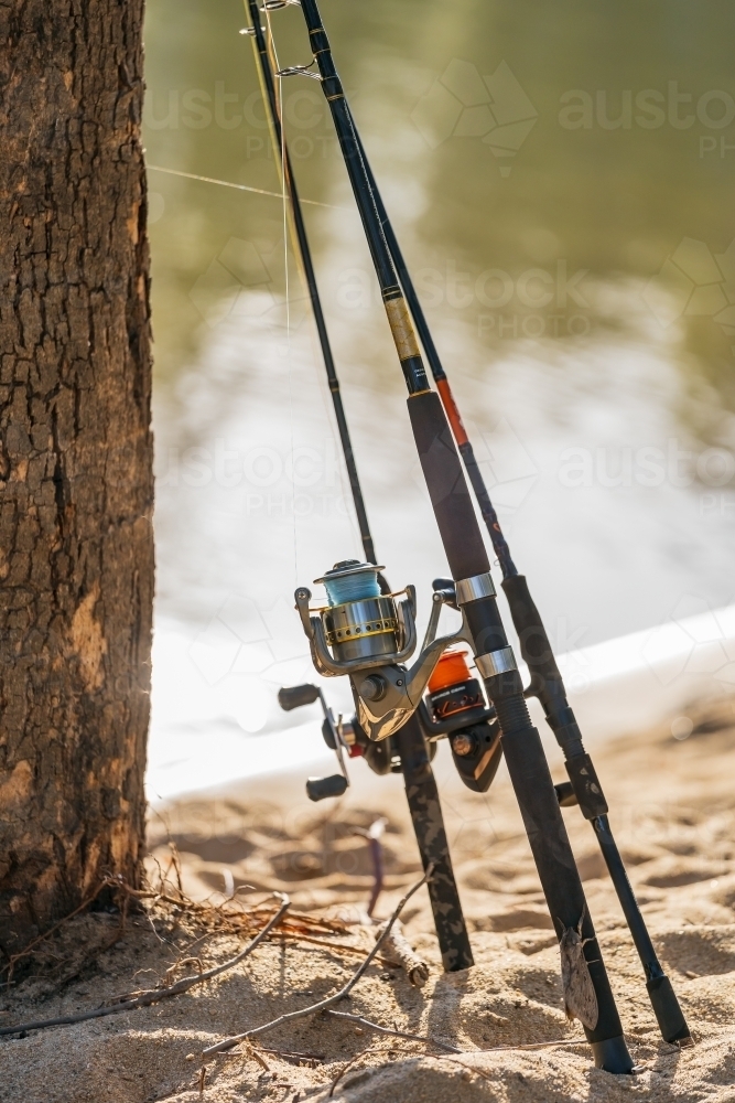 Fishing rods leaning against a tree on the banks of a river - Australian Stock Image