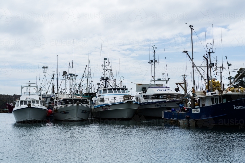fishing trawlers in ulladulla harbour - Australian Stock Image